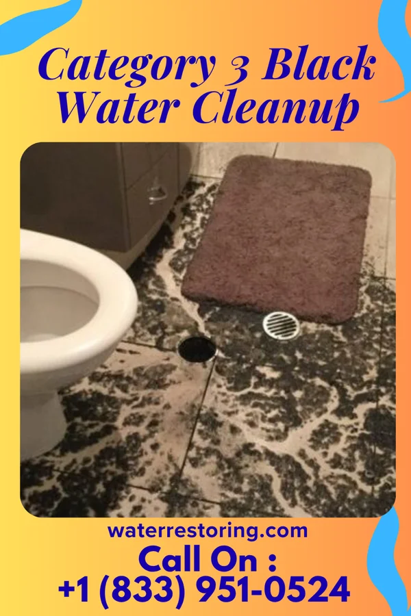 Category 3 Black Water Cleanup in Dauberville, PA