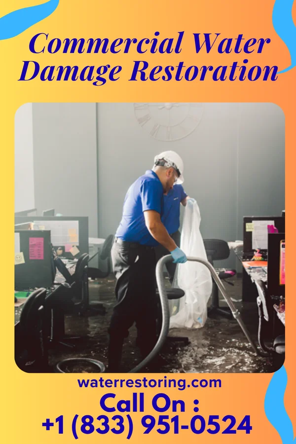 Commercial Water Damage Restoration in Dauberville, PA