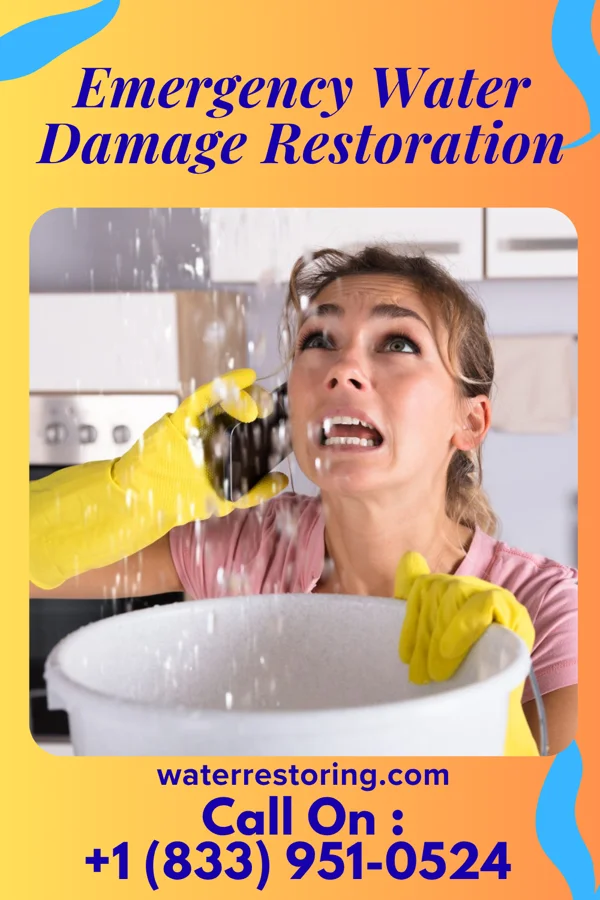 Emergency Water Damage Restoration in Dauberville, PA
