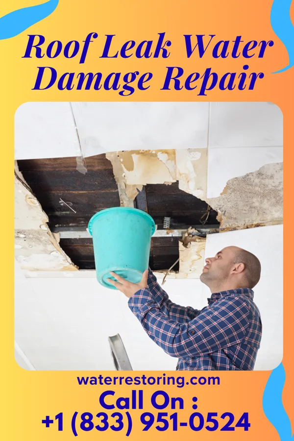 Roof Leak Water Damage Repair in Dauberville, PA