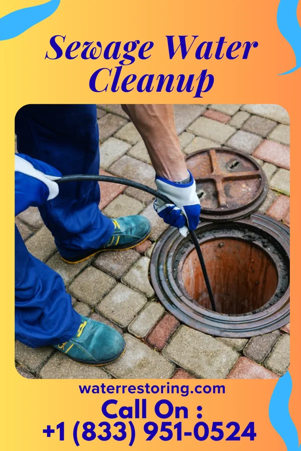 Sewage Water Cleanup in Dauberville, PA